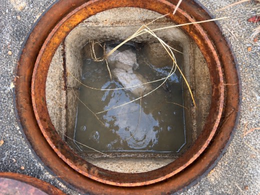 清掃前の汚水桝。紙類や土砂がたまり、水の流れが悪くなっている状態